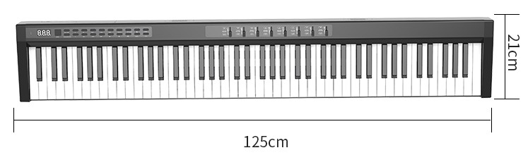 Bàn phím điện tử (piano) 125cm