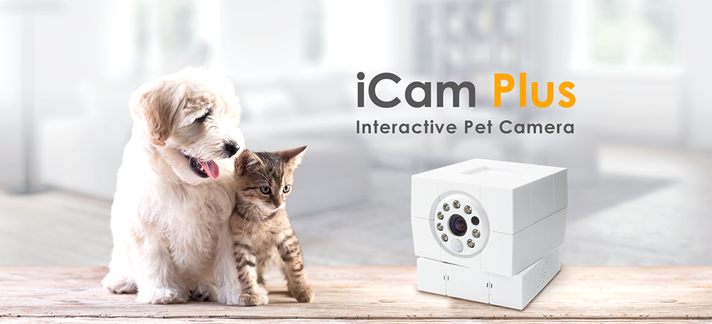 giám sát camera IP gia đình cộng với động vật