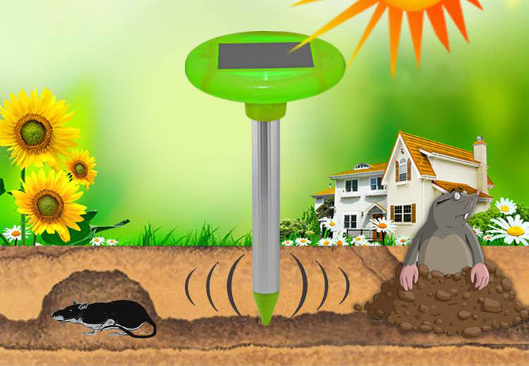 máy dò chuột chũi và động vật gặm nhấm bằng năng lượng mặt trời