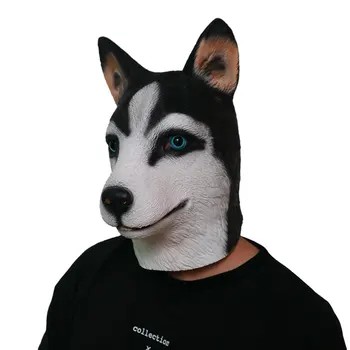 Chó Husky - Lễ hội đeo mặt nạ đầu