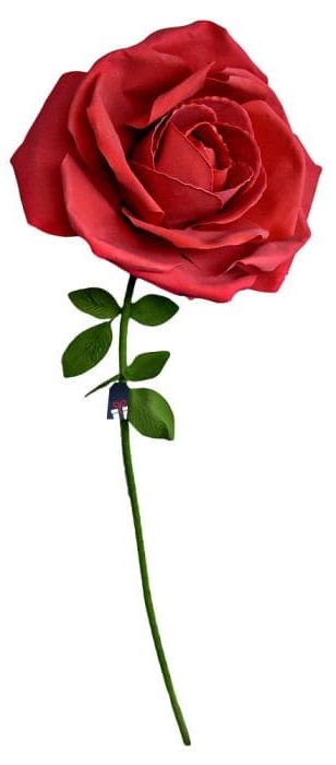 Hoa hồng khổng lồ XXL - Hoa hồng làm quà tặng cho phụ nữ